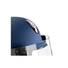 Casque TC G3 Gendarmerie écran pare-coups MSA Gallet