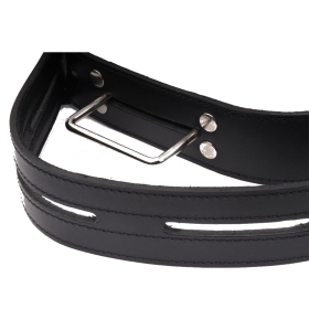 Ceinture de Transfert