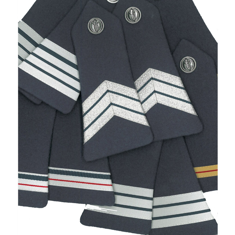 Pattes d'Epaule CRS 
