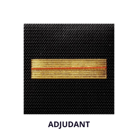 Galon de Poitrine Gendarmerie Départementale - Plastifié